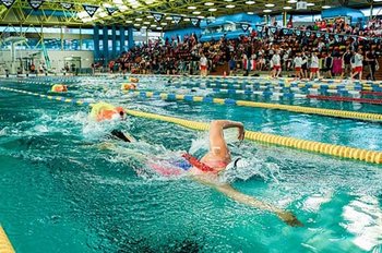 DLRG Pressefotos Rettungssport